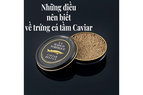 Những điều nên biết về trứng cá tầm Caviar