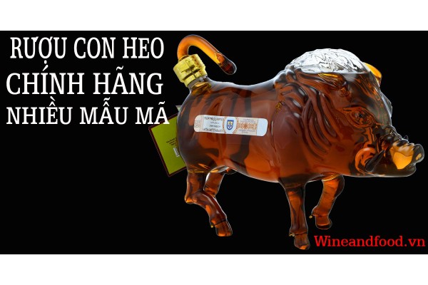 Rượu con Heo chính hãng đa dạng nhất