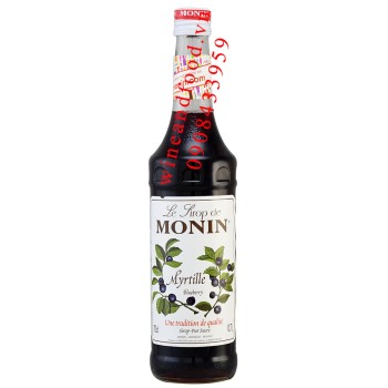 Siro Blueberry Monin 70cl