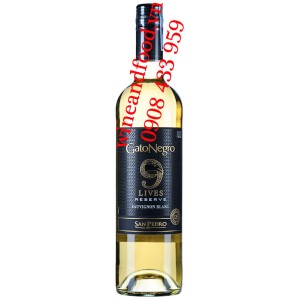 Rượu vang Gato Negro Lives Reserve Sauvignon Blanc 750ml