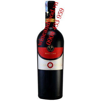 Rượu vang Canonico Due Palme Negroamaro IGP 750ml