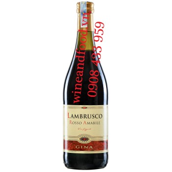 Rượu vang Lambrusco Rosso Amabile Gina 750ml