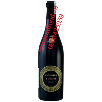 Rượu vang Magnifico Fuoco Primitivo Puglia IGT