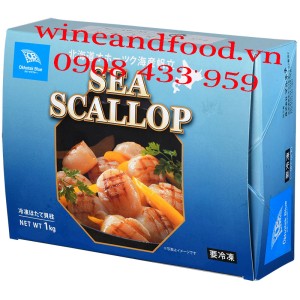 Còi sò điệp Sea Scallop Okhotsk Blue Nhật đông lạnh 1kg