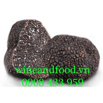 Nấm Truffle cục tươi thượng hạng