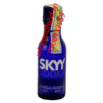 Rượu mini Vodka Skyy